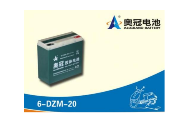 奧冠電池6-DZM-20